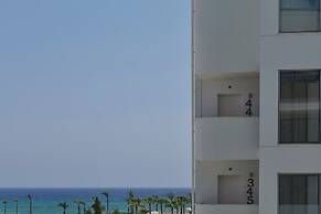 Atlantica Sancta Napa