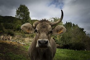Apartamentos Los Picos de Europa