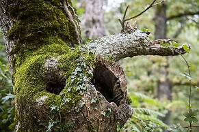 Apartamentos Los Picos de Europa