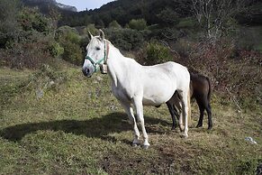 Apartamentos Los Picos de Europa