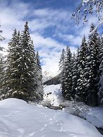 Alpine Touring Hotel