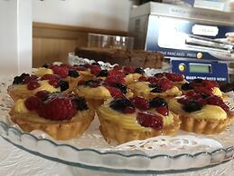 Alpine Touring Hotel