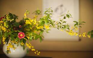 Amami Onsen Nanten-en