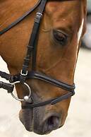 Ramada by Wyndham Venice Hotel Venezia