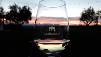 Tenuta San Marcello