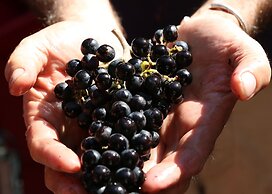 Tenuta San Marcello