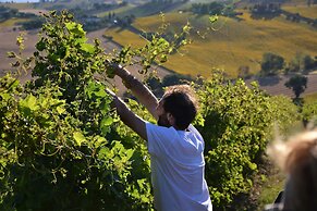 Tenuta San Marcello
