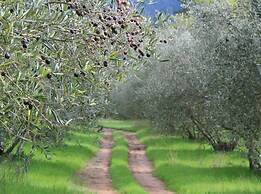 Cascade Country Manor