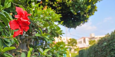 Hotel Palm Royal Naha Kokusai Street