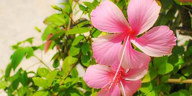 Hotel Palm Royal Naha Kokusai Street