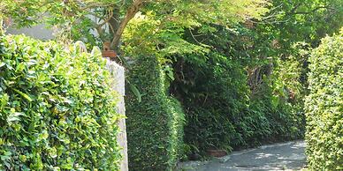 Hotel Palm Royal Naha Kokusai Street