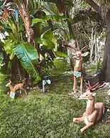 Sunset Cove Beach Resort