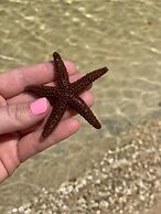 Sunset Cove Beach Resort