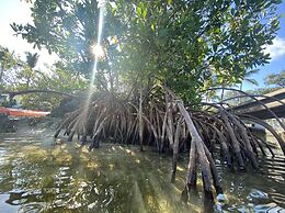 Sunset Cove Beach Resort