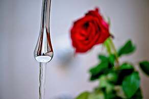 Heritage Jupiter Luxury Hotel