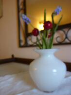 Casale dei Gelsi Bed & Breakfast
