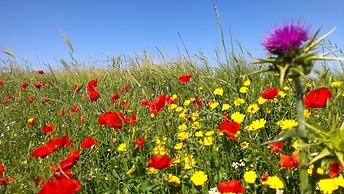 Casale dei Gelsi Bed & Breakfast