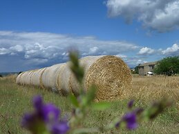 Casale dei Gelsi Bed & Breakfast