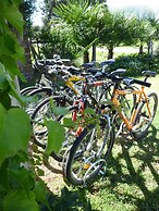 Casale dei Gelsi Bed & Breakfast