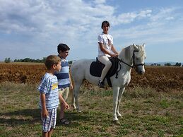 Casale dei Gelsi Bed & Breakfast