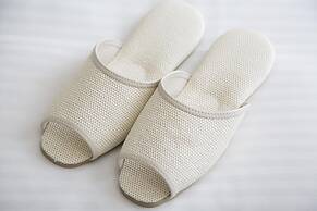 Almont Inn Nihonbashi