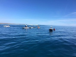 Funky Fish Beach & Surf Resort - Hostel