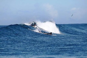 Funky Fish Beach & Surf Resort - Hostel