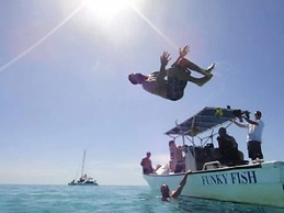 Funky Fish Beach & Surf Resort - Hostel