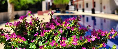 Surintra Boutique Resort