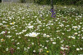 Hotel Schweizerhof Engelberg