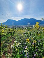 Hotel Garni La Vigna - Adult Friendly