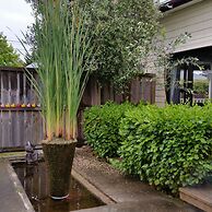 Designer Cottage B&B