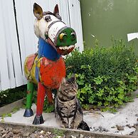 Designer Cottage B&B