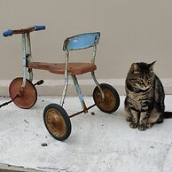 Designer Cottage B&B