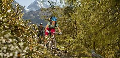 Hotel Vier Jahreszeiten