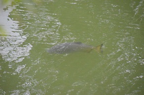 Hotel Lago das Pedras