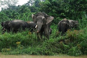 Borneo Nature Lodge