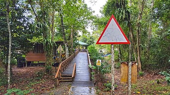 Borneo Nature Lodge