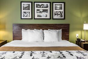 Sleep Inn & Suites Mount Olive North