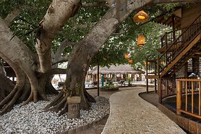 Hotel Isla del Encanto