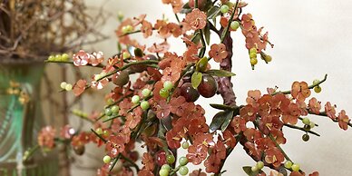 Okinawa Sunplaza Hotel