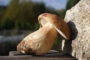 Hospedería El Pico del Fraile