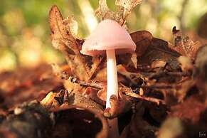 Hospedería El Pico del Fraile