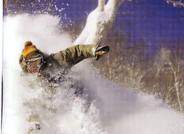 Country Inn Milky House