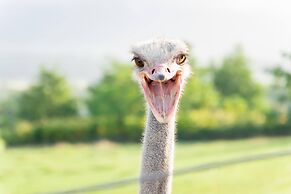 Country Inn Milky House