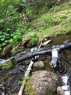 Country Inn Milky House