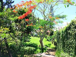 Gajah Mina Beach Resort