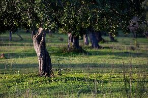 Sant Salvador Hostatgeria