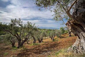 Tenuta Ciminata Greco
