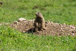 Hotel Villa Kastelruth